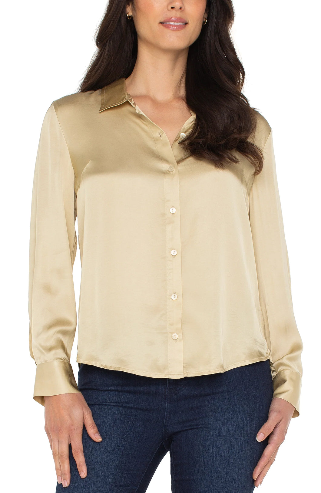 Ainsley Button Down Silk Like Woven Shirt