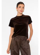 Load image into Gallery viewer, Amanda Short Sleeve Velvet Top in Spiced Pink and Cola Brown
