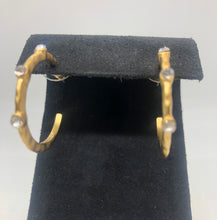 Load image into Gallery viewer, Lia Large Brushed Gold Hoop with CZ Earring
