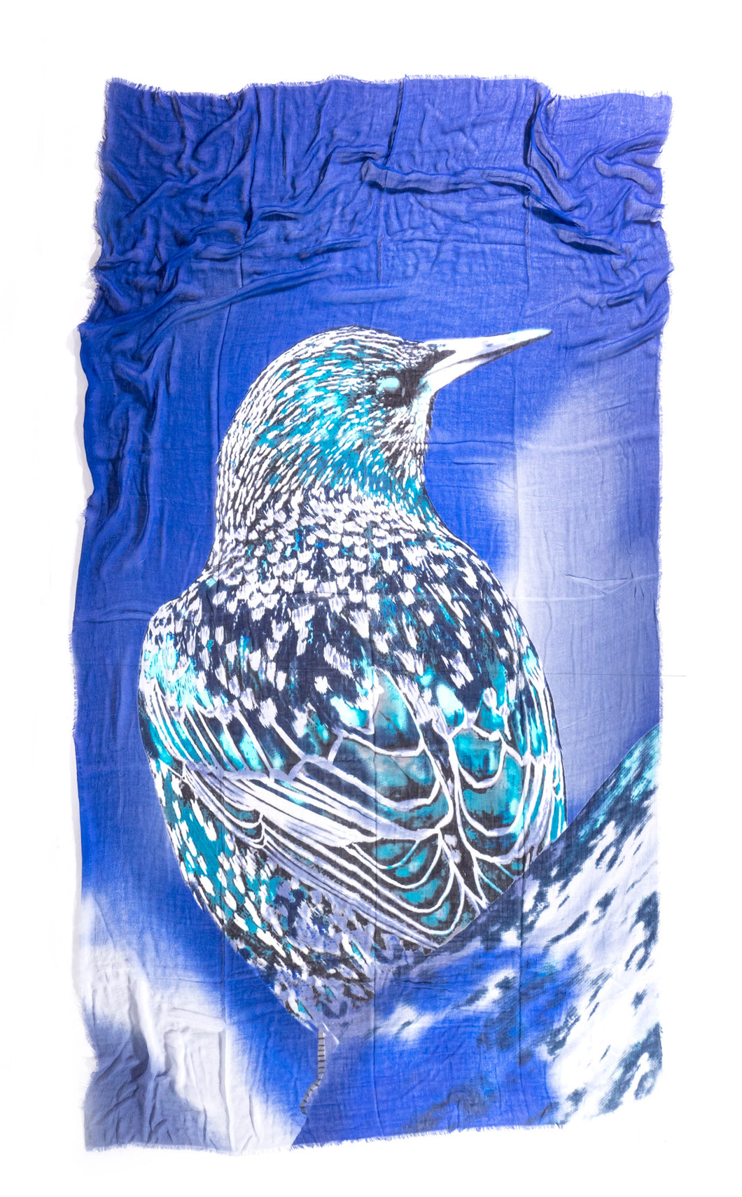 Silk and Cashmere scarf - Hummingbird